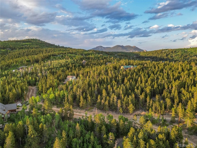 Coyote Cir, Black Hawk, CO 80422