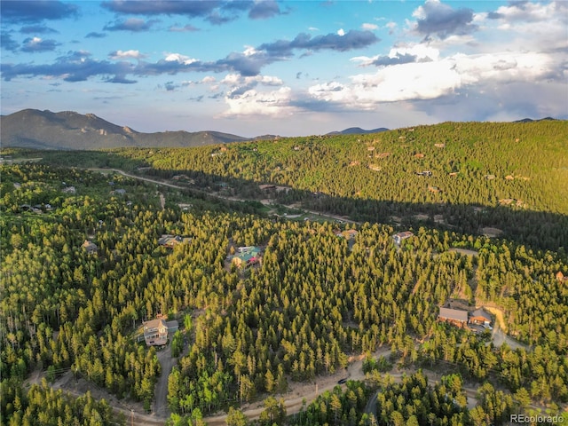 Coyote Cir, Black Hawk, CO 80422