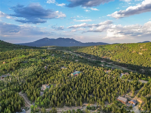 Coyote Cir, Black Hawk, CO 80422