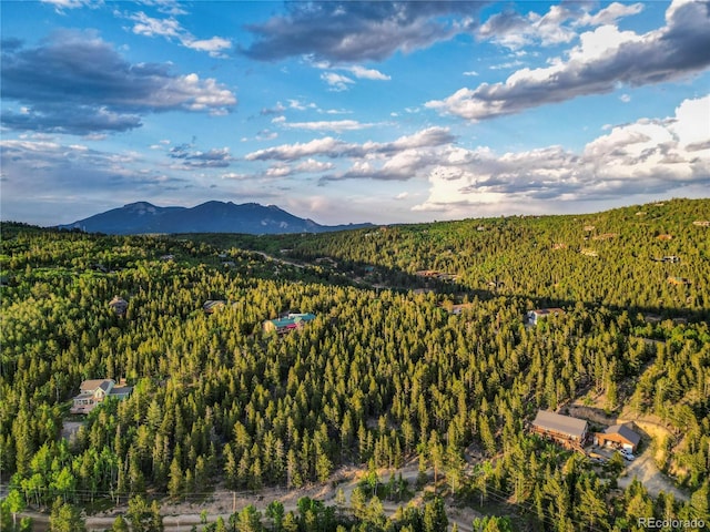 Coyote Cir, Black Hawk, CO 80422