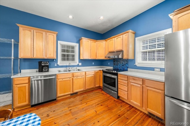 151 Marchant St, Black Hawk, CO 80422 - kitchen featuring appliances with stainless steel finishes, under cabinet range hood, light brown cabinets, a sink, and light countertops