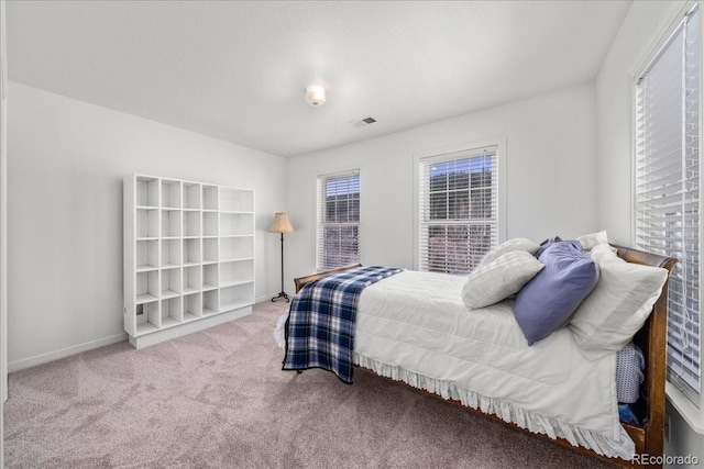 151 Marchant St, Black Hawk, CO 80422 - bedroom featuring carpet and baseboards