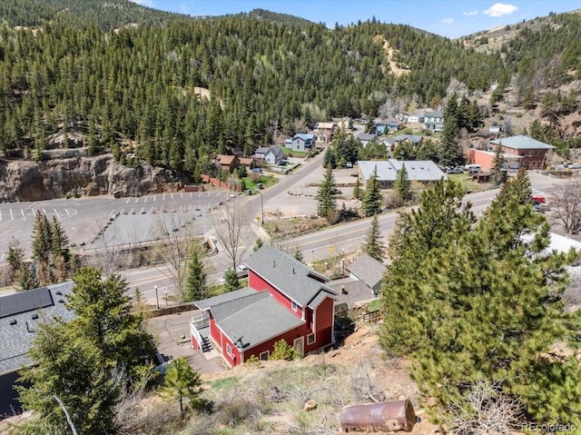 151 Marchant St, Black Hawk, CO 80422 - view of subject property featuring a forest and a mountain backdrop