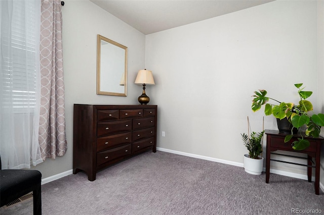 sitting room featuring carpet