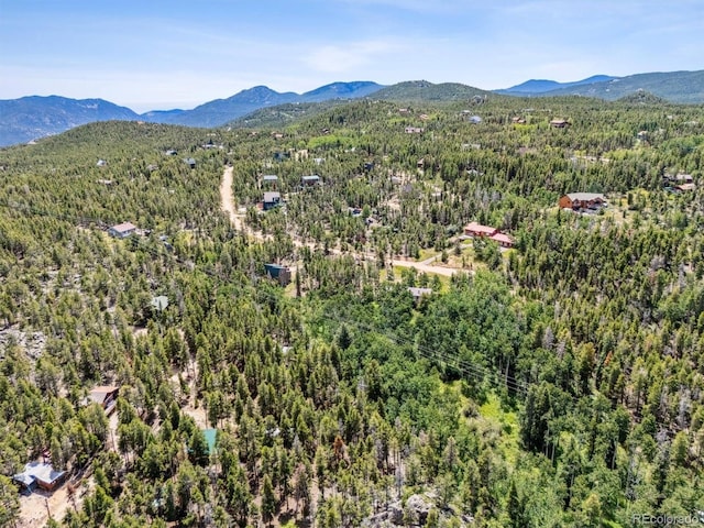 306 Olde Carter Lake Rd, Golden, CO 80403 - photo 23