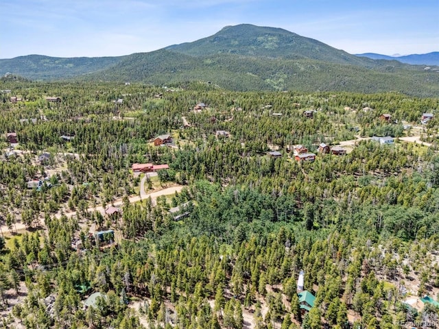 306 Olde Carter Lake Rd, Golden, CO 80403 - photo 24
