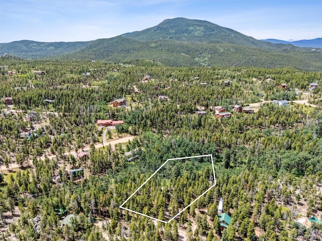306 Olde Carter Lake Rd, Golden, CO 80403 - photo 3
