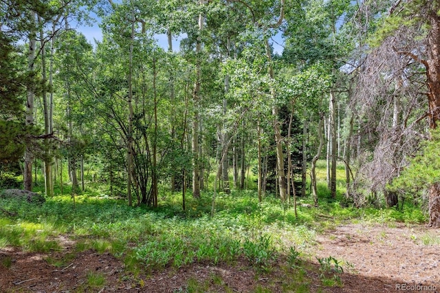 306 Olde Carter Lake Rd, Golden, CO 80403 - photo 4