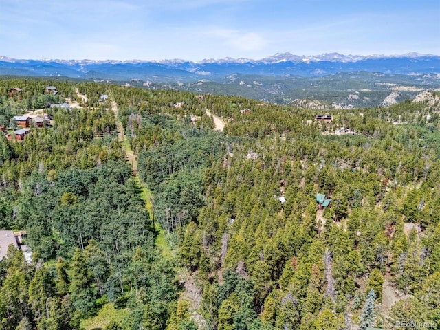 306 Olde Carter Lake Rd, Golden, CO 80403 - photo 6