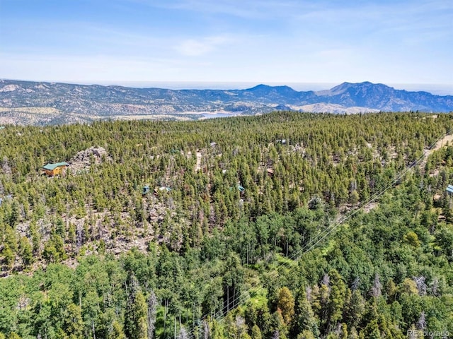 306 Olde Carter Lake Rd, Golden, CO 80403 - photo 7