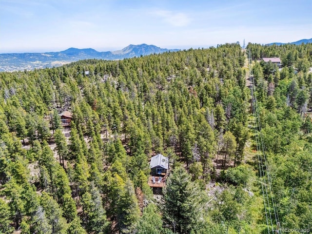 306 Olde Carter Lake Rd, Golden, CO 80403 - photo 21