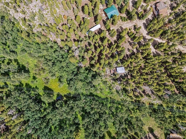 306 Olde Carter Lake Rd, Golden, CO 80403 - photo 22