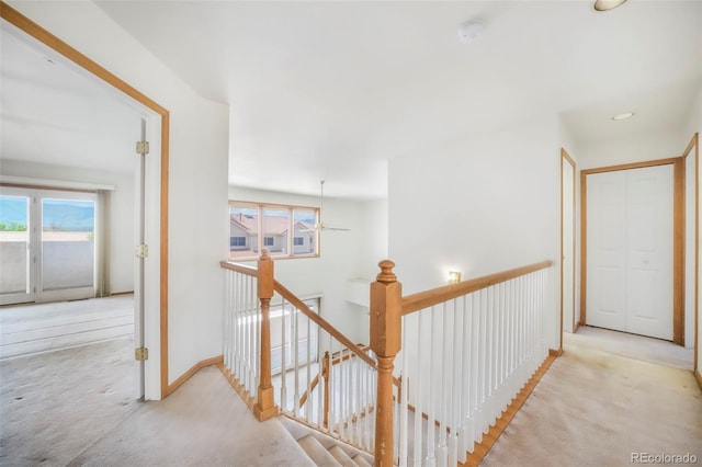 174 Luxury Ln, Colorado Springs, CO 80921 - hallway featuring an upstairs landing and carpet