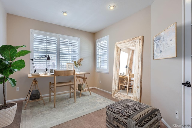 3391 Prairie Vista Dr, Castle Rock, CO 80109 - photo 16