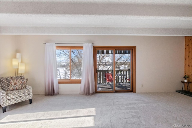 sitting room featuring a textured ceiling and carpet flooring