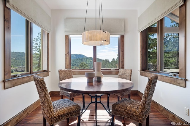 dining room with a wealth of natural light, a mountain view, and dark hardwood / wood-style flooring