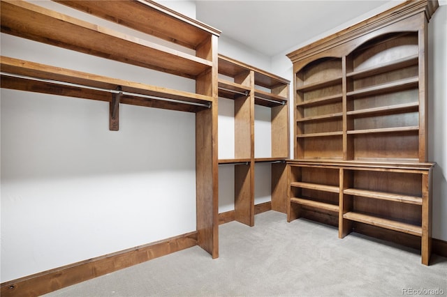 spacious closet with light carpet