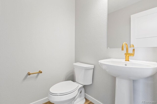 251 Washington St, Erie, CO 80516 - photo 15