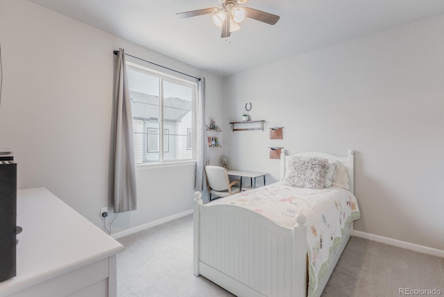 19649 W 92nd Dr Unit C, Arvada, CO 80007 - photo 21