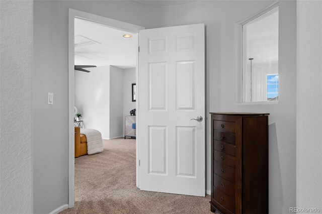 2880 Breezy Ln, Castle Rock, CO 80109 - hallway with carpet and baseboards