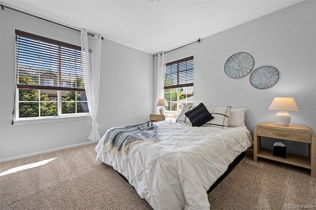 2880 Breezy Ln, Castle Rock, CO 80109 - carpeted bedroom with baseboards