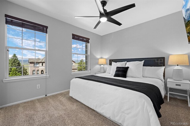 2880 Breezy Ln, Castle Rock, CO 80109 - bedroom featuring carpet floors, multiple windows, and baseboards
