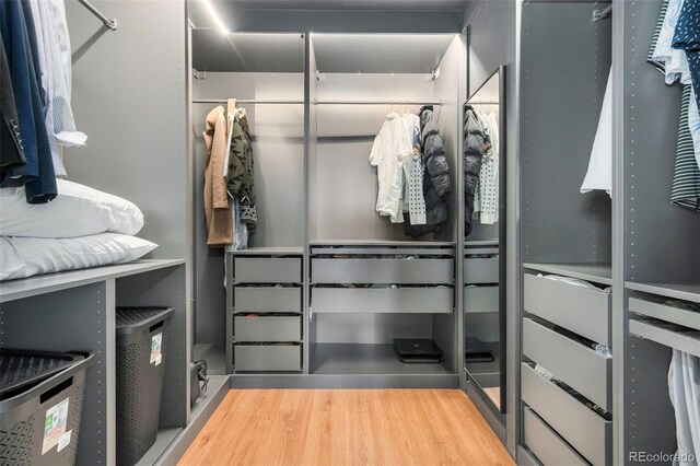 1420 W Ridge Rd, Littleton, CO 80120 - spacious closet with wood finished floors