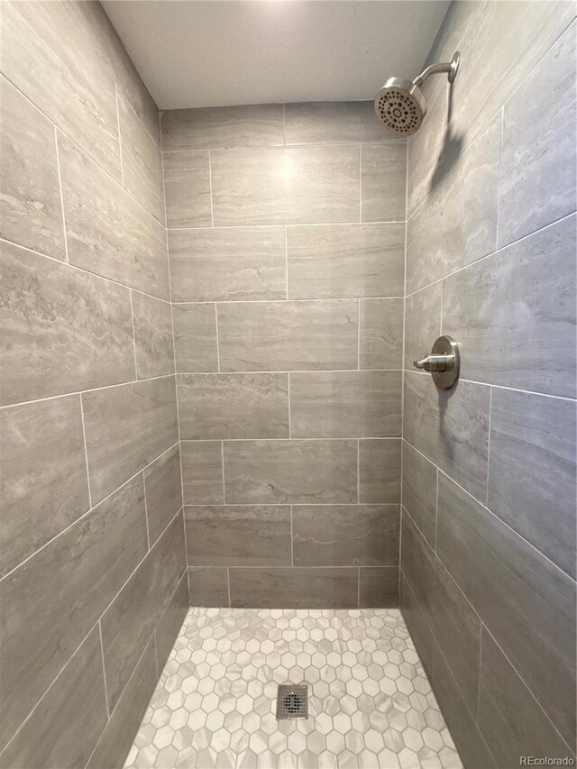 6484 S Datura St, Littleton, CO 80120 - bathroom featuring a tile shower