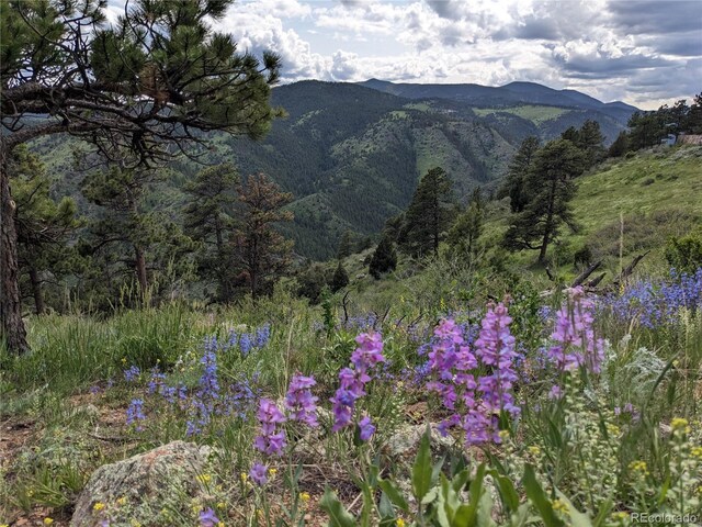 25421 Westridge Rd, Golden, CO 80403 - photo 22