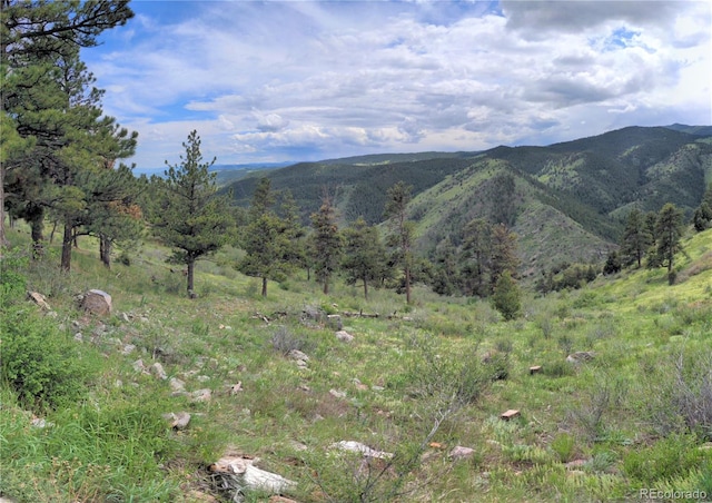 25421 Westridge Rd, Golden, CO 80403 - photo 23