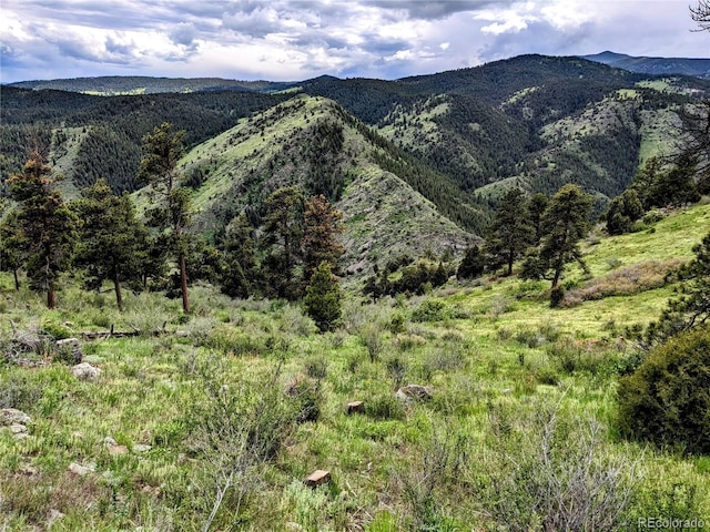 25421 Westridge Rd, Golden, CO 80403 - photo 24