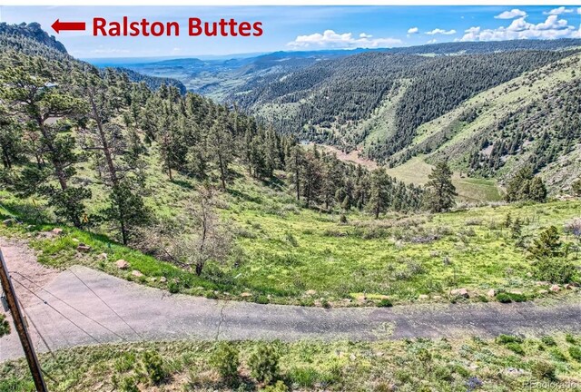 25421 Westridge Rd, Golden, CO 80403 - photo 25