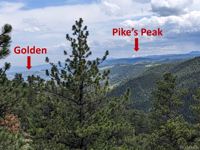 25421 Westridge Rd, Golden, CO 80403 - photo 26