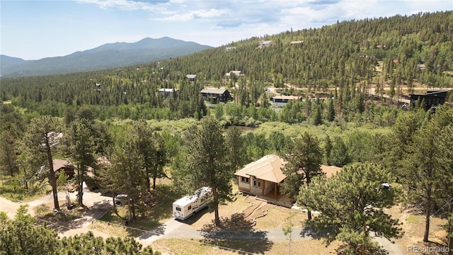 634 N Dory Lakes Dr, Black Hawk, CO 80422 - photo 39