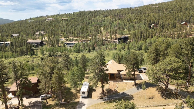 634 N Dory Lakes Dr, Black Hawk, CO 80422 - photo 40