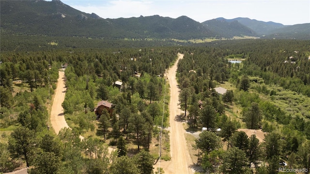 634 N Dory Lakes Dr, Black Hawk, CO 80422 - photo 42