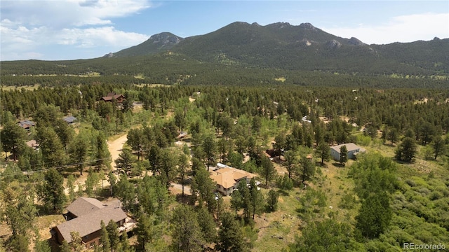 634 N Dory Lakes Dr, Black Hawk, CO 80422 - photo 43
