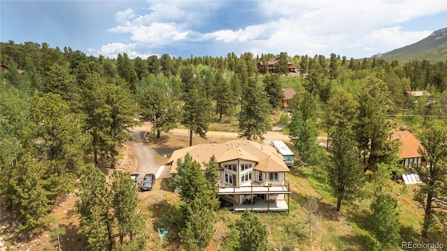 634 N Dory Lakes Dr, Black Hawk, CO 80422 - photo 44