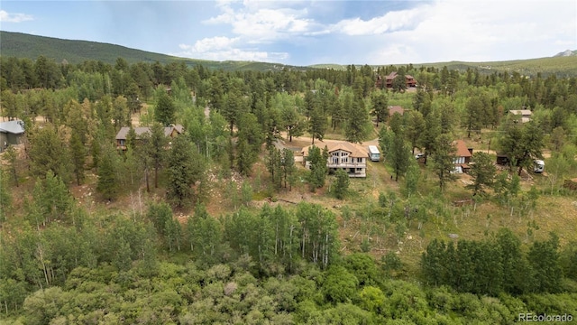 634 N Dory Lakes Dr, Black Hawk, CO 80422 - photo 46