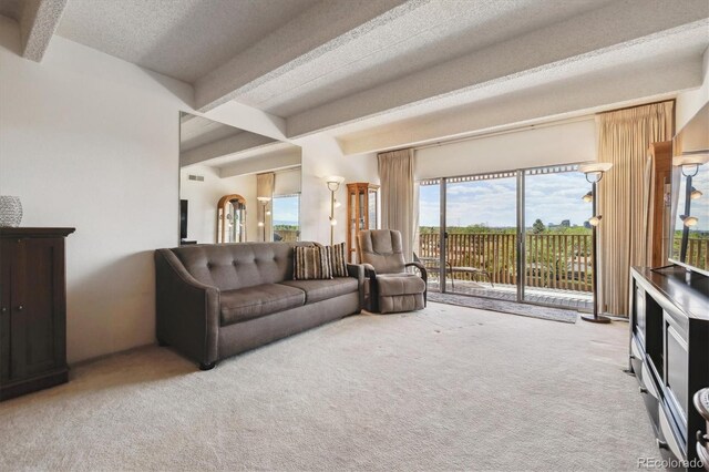 8060 E Girard Ave Unit 712, Denver, CO 80231 - photo 6