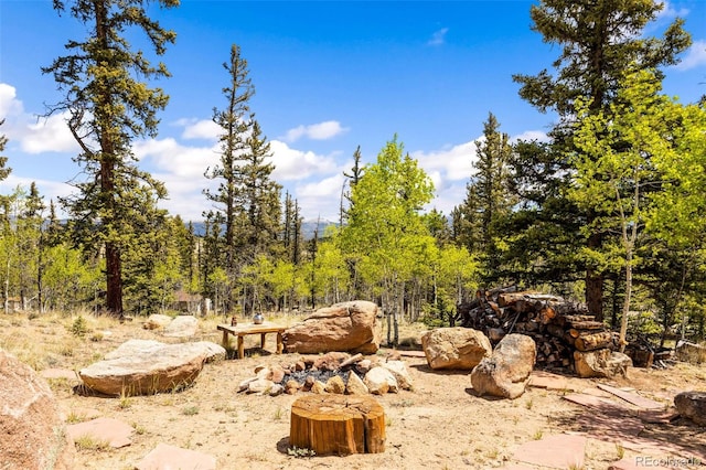 146 Atoka Dr, Como, CO 80432 - view of yard