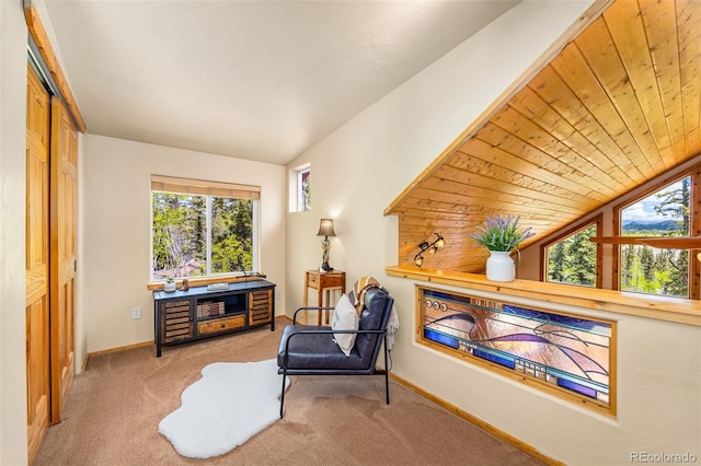 146 Atoka Dr, Como, CO 80432 - living area featuring vaulted ceiling, carpet floors, and healthy amount of natural light