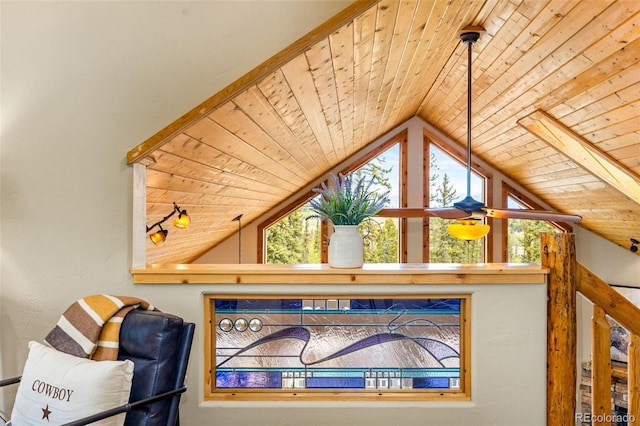 146 Atoka Dr, Como, CO 80432 - detailed view of wood ceiling