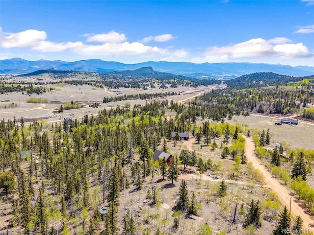 146 Atoka Dr, Como, CO 80432 - view of mountain backdrop