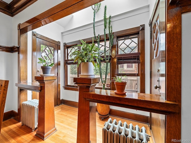 dining area featuring radiator heating unit and light hardwood / wood-style floors