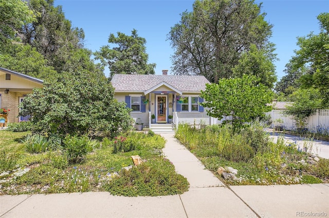 428 Francis St, Longmont, CO 80501 - photo 1
