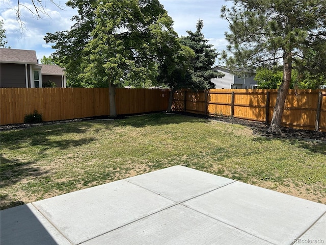 10431 Holland St, Broomfield, CO 80021 - view of yard featuring a patio area