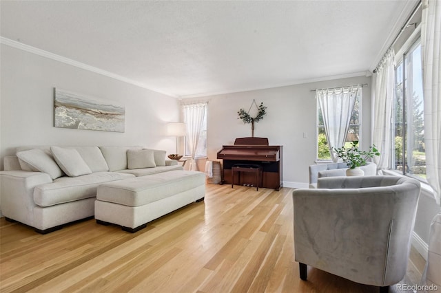 living room featuring crown molding and hardwood / wood-style flooring