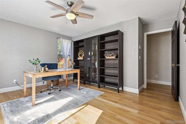 home office with ceiling fan and light hardwood / wood-style flooring