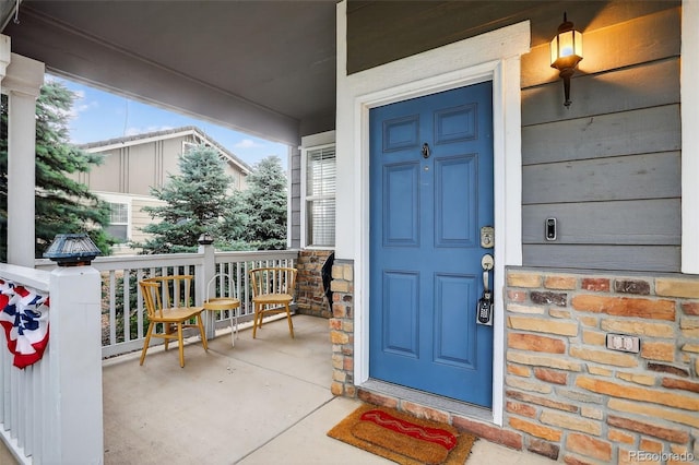 425 Peabody St, Castle Rock, CO 80104 - photo 4